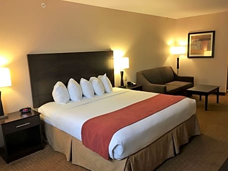 1 King Bed, Non-Smoking, Sofabed, Oversized Room, Microwave And Refrigerator, High Speed Internet Ac