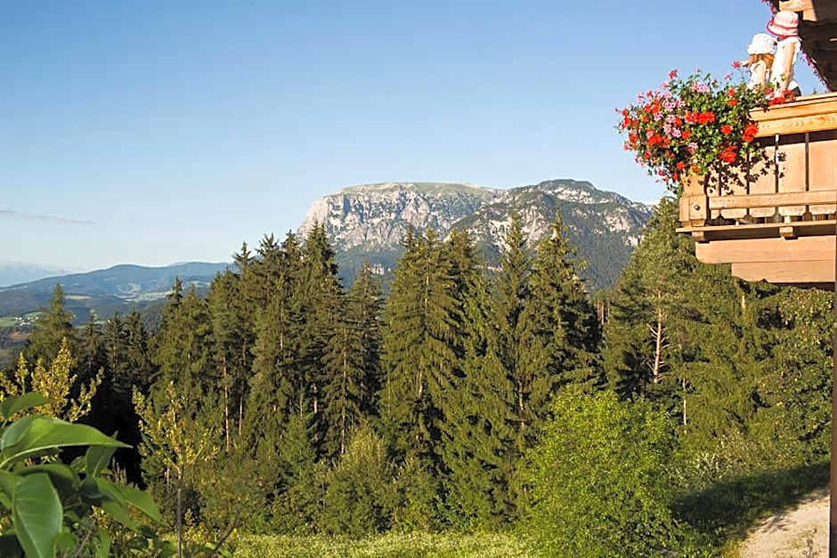 Hotel Wiesl