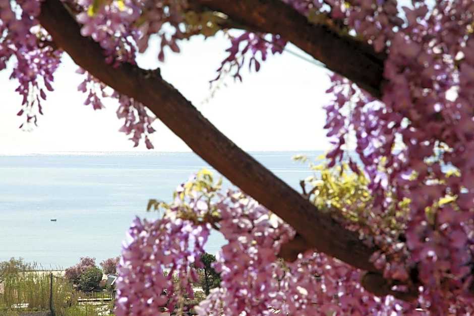 Hotel Galli - Wellness & Spa