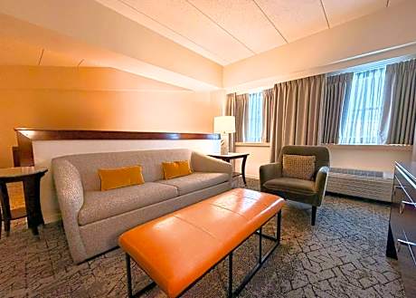 Concierge level, Suite, 1 King