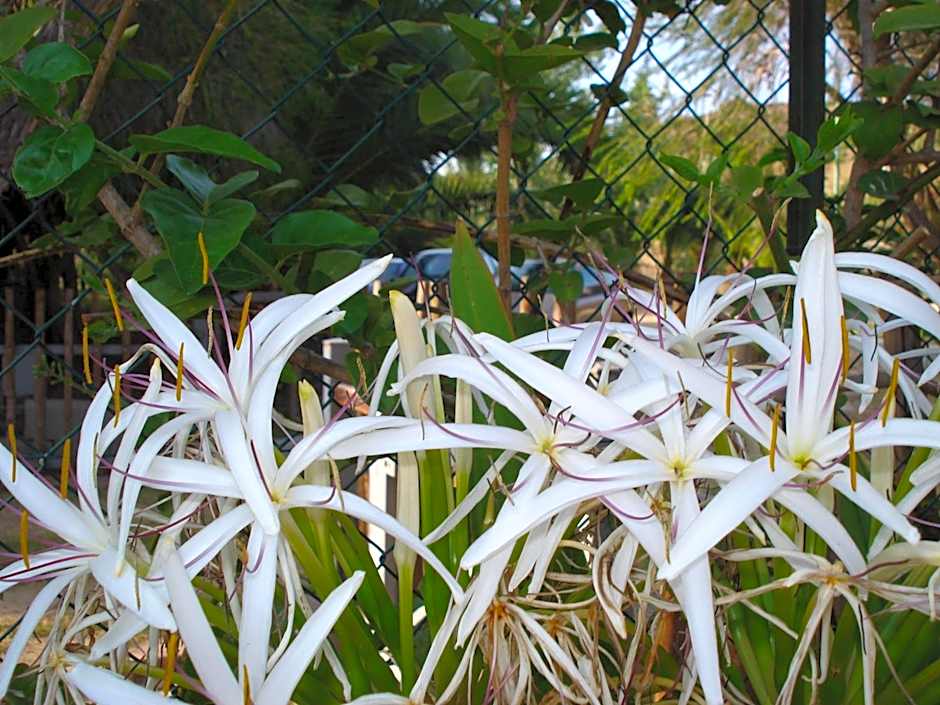 Verdemare Sardegna Uno