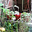 Fuqi Hostel - Heping