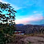 Finca Serrato