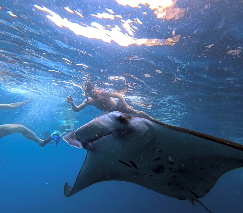 Sea Bridge Villa Ceningan