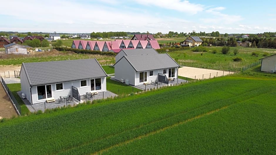 Szara Gąska w Gąskach