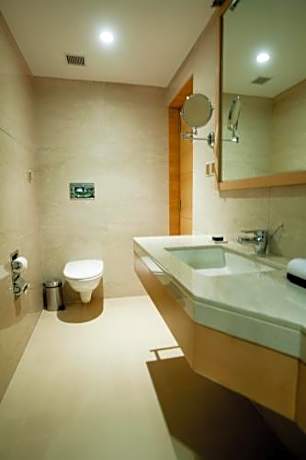 Executive Room with Bathtub