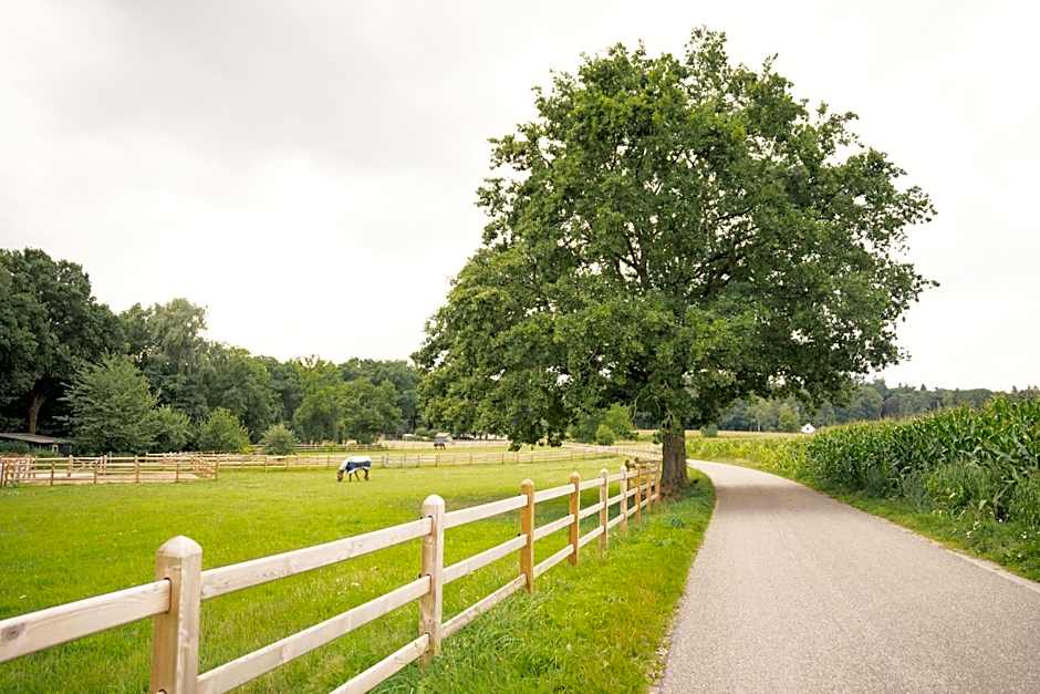 Hotel Restaurant de Loenermark