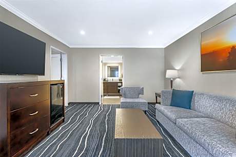 King Suite with Bath Tub and Sofa Bed - Disability Access