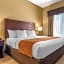Comfort Suites Airport South