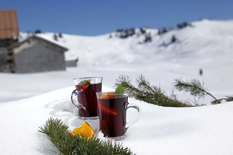 Alpine Lifestyle Berghotel Madlener