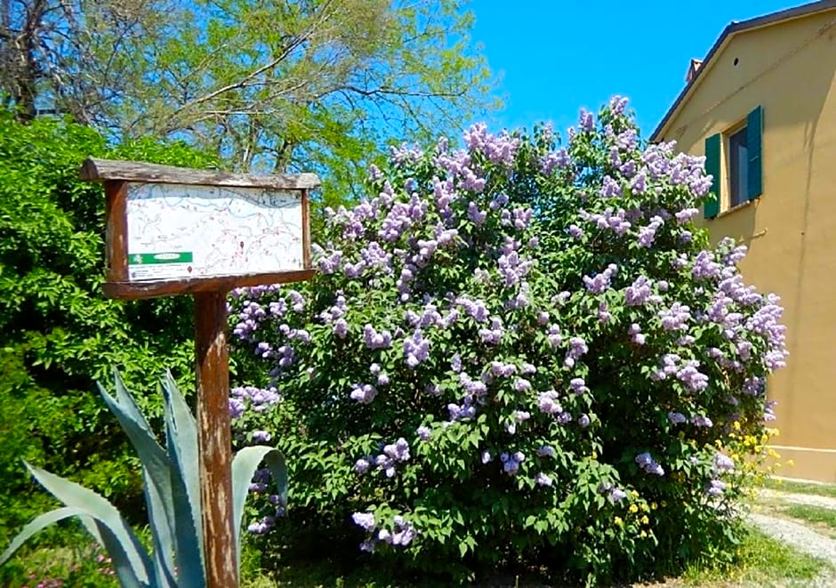 Casa delle ginestre