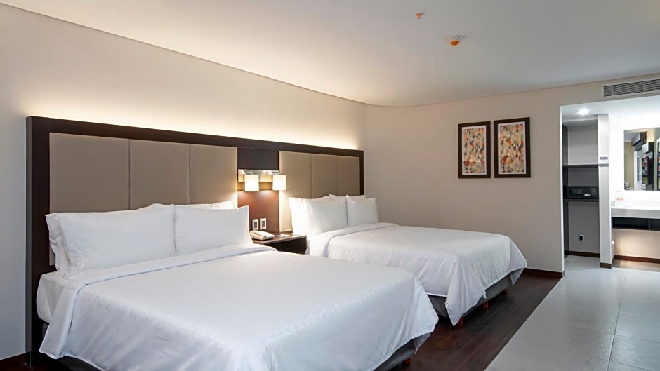Holiday Inn Express Mexico Basilica By IHG