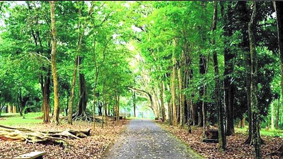 Orchardz Hotel Ayani