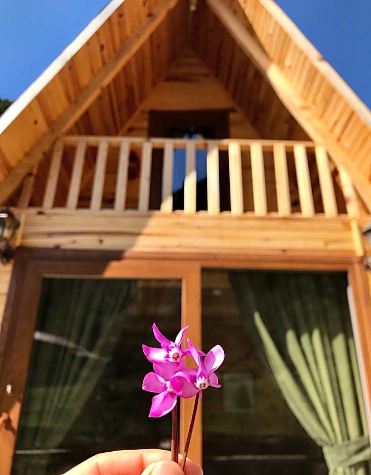Foga Bungalov – Çamlihemsin, WI