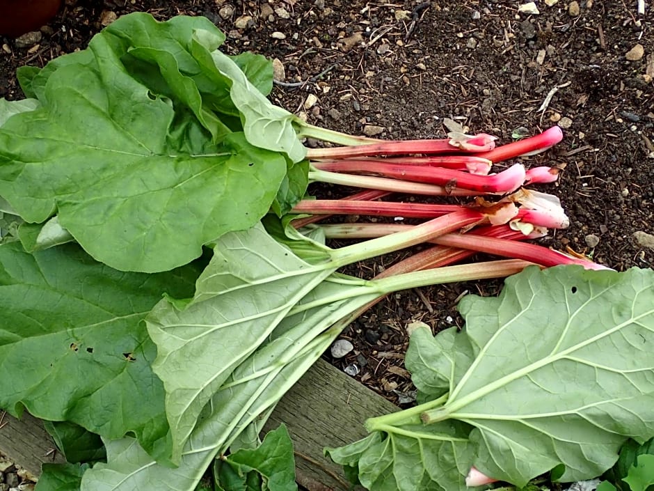 Field End House Strawberry Lane Meysey Hampton