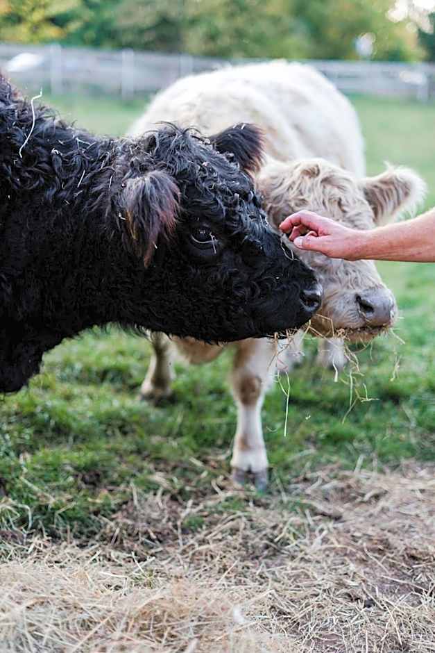 Sommers "Schöne Aussicht", Adults only