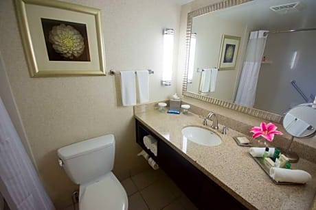 2 Double Mobility/Hearing Access Bathtub