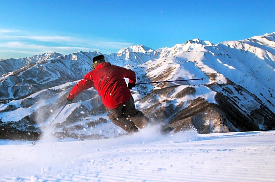 Hotel La Neige Honkan