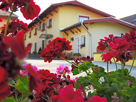 Halász Airport Panzio