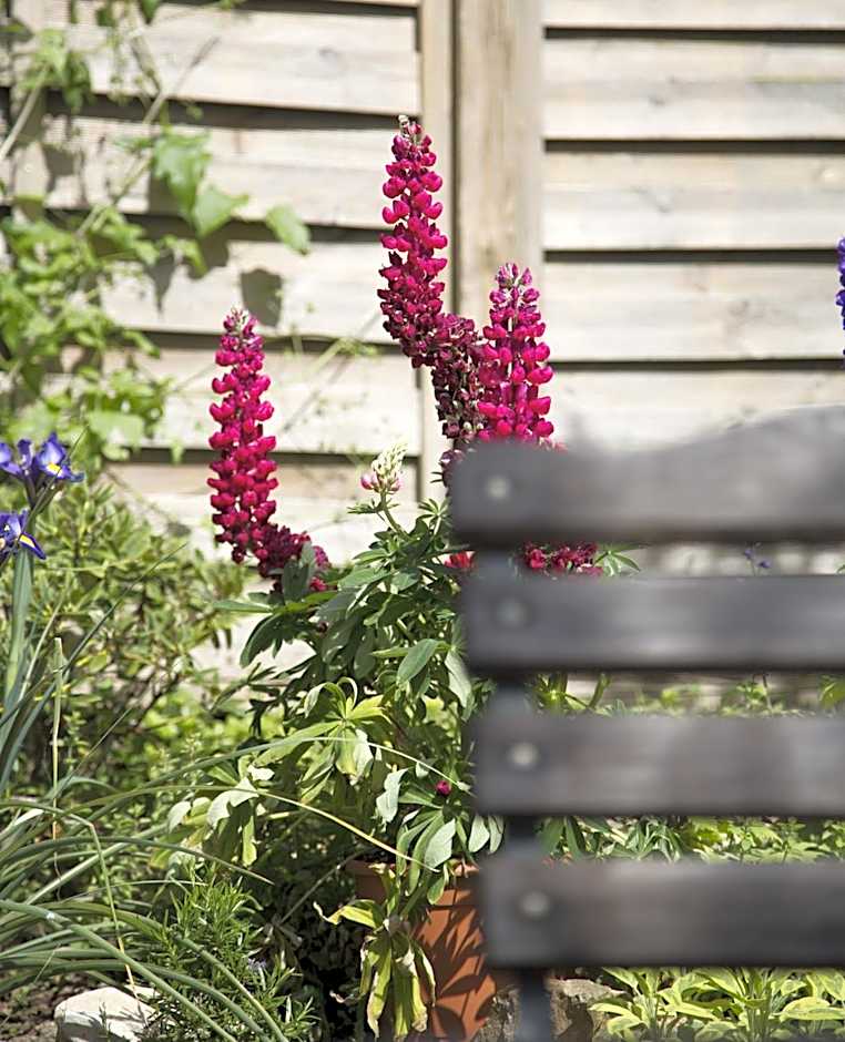 Der espenhof Landhotel, Tagungshotel & Weingut