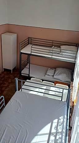 Bunk Bed in Mixed Dormitory Room