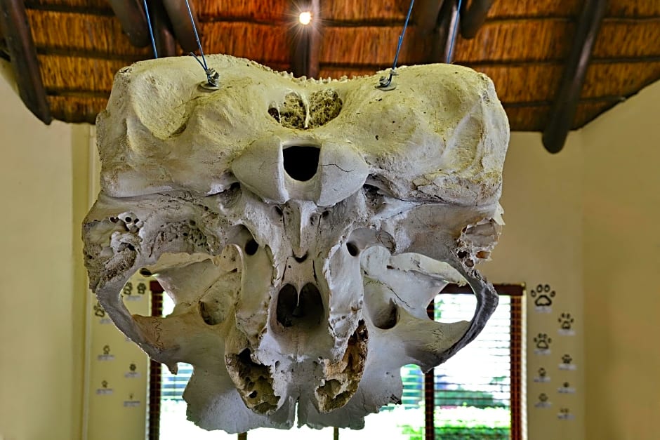 Kwa Maritane Bush Lodge