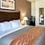 Comfort Inn I-20 Midland Stanton