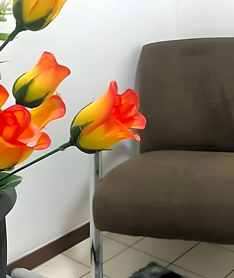 Studio 228 Mix Park Sul.