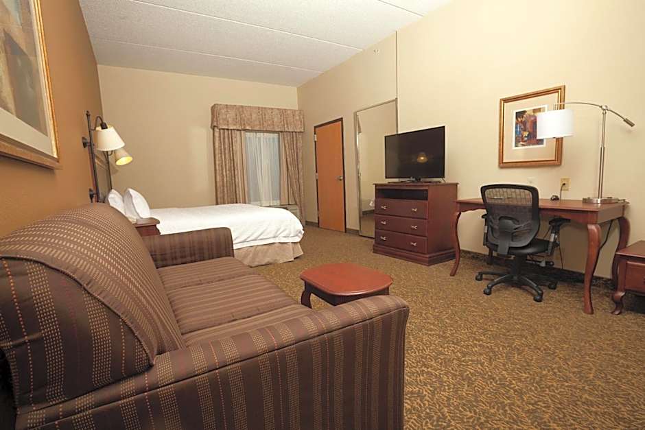 Photo 1 of 4 of 1 King Bed with Sofabed