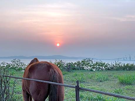 Breeze & Waves A Seaside Inn