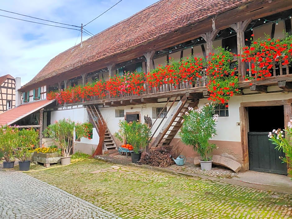 Chambres d'hôtes de charme à la ferme Freysz