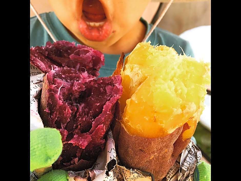 西海岸オーガニック小麦畑1200坪眺望FarmStayYululu