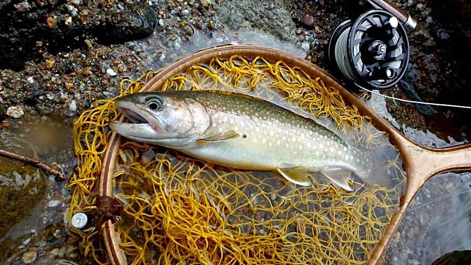 Oirase Guest house KEIGETSU