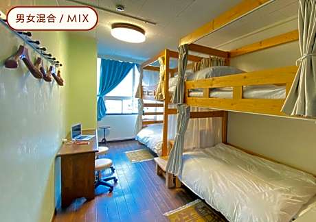 Bunk Bed in Mixed Dormitory Room
