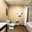 Comfort Inn Detroit Downtown
