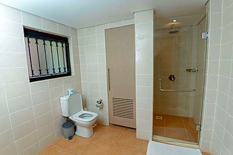 Apartment - Queen Bed Non-Smoking Attic One Bedroom Lounge Area Wi-Fi Hairdryer Full Breakfast