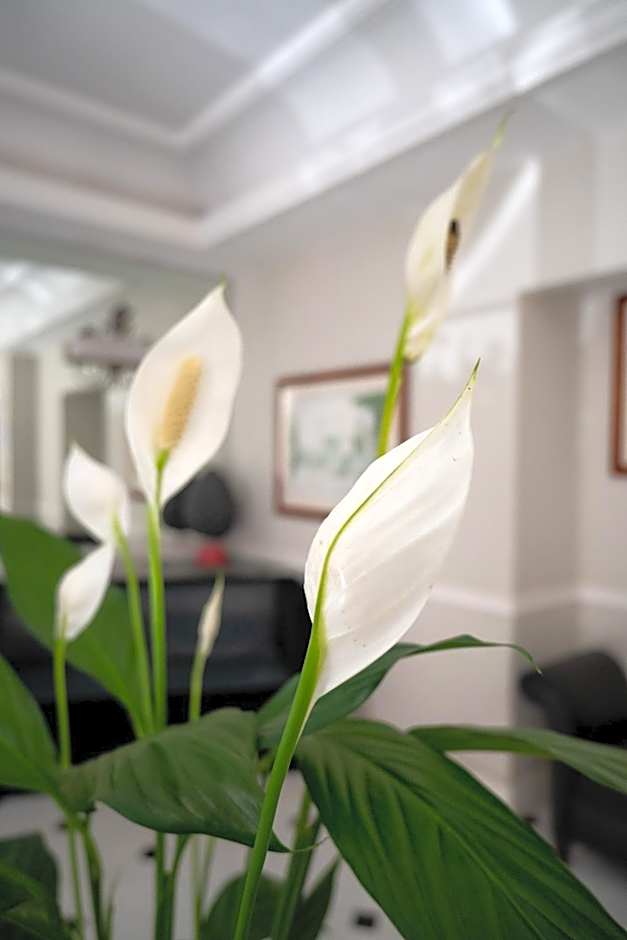 Ludovisi Palace Hotel