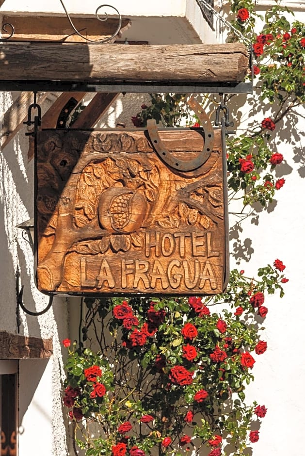 Hotel La Fragua I