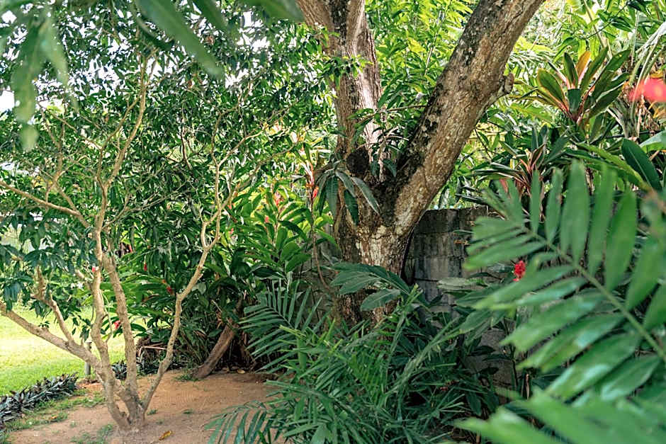 Beau Vallon Bungalows