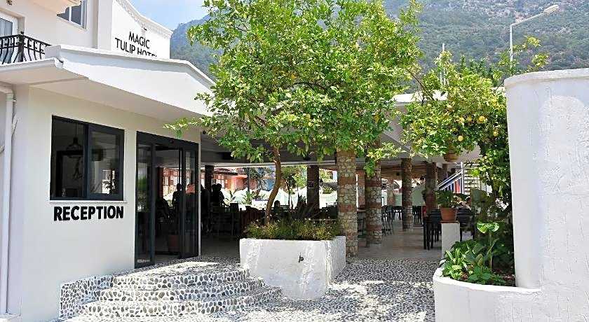 Magic Tulip Hotel