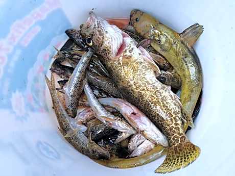 hongcheon river view sonamu pension