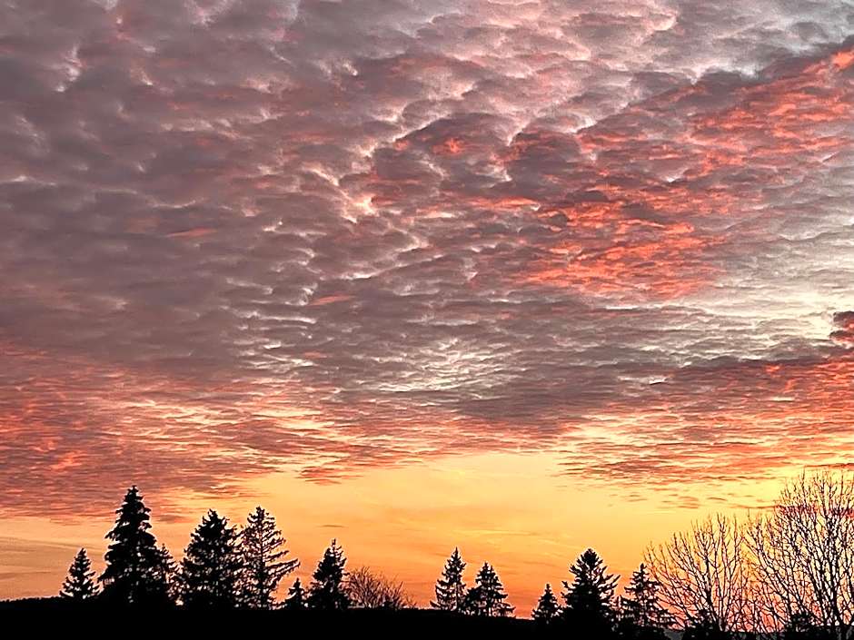 Hôtel Restaurant Les Cernets Swiss-Lodge SSH