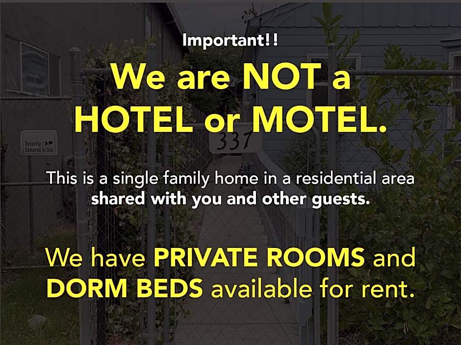 WHOLE Family - Barrette