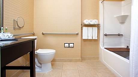 1 King Standard Sofa Bed