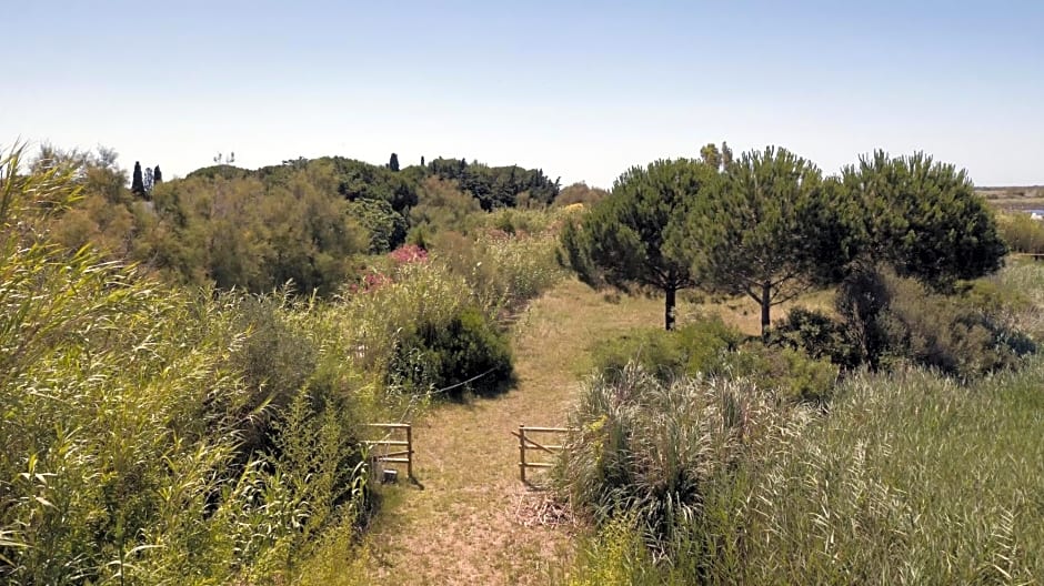 Mas du Couvin, maison d'hôtes en Camargue