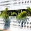 Don Bonito Hotel