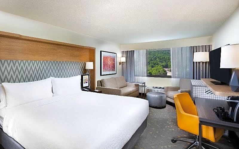 Holiday Inn Asheville East-Blue Ridge Pkwy, an IHG Hotel