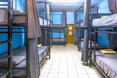 Bunk Bed in 10-Bed AC Dorm