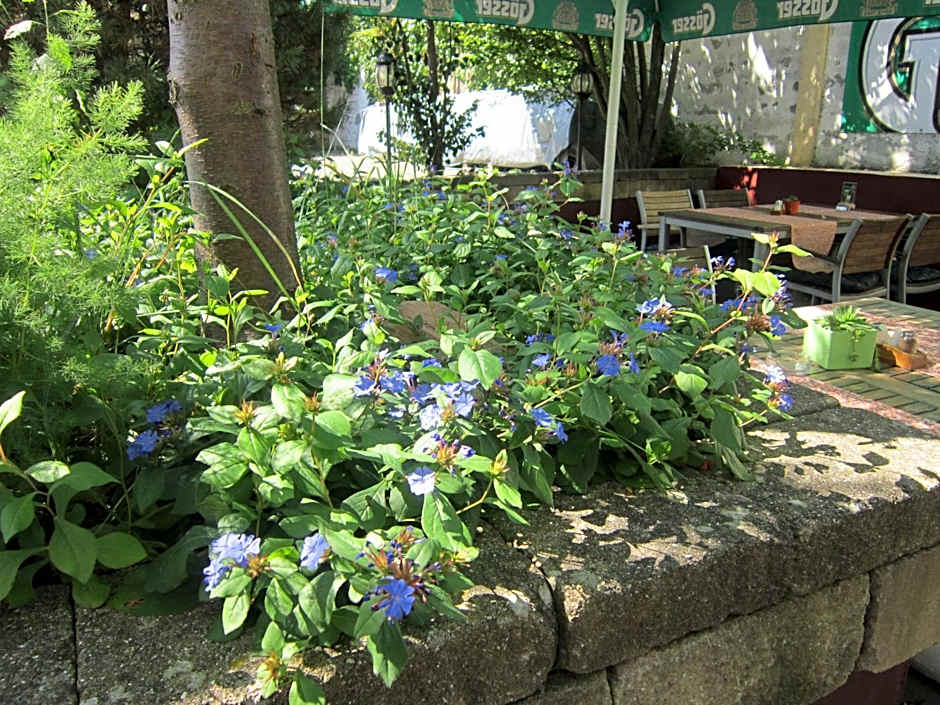 Guest House Veronika