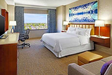 Room 1 king size bed